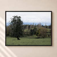 Cuadro Árbol