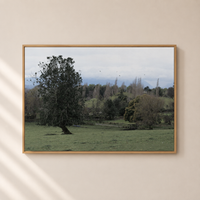 Cuadro Árbol